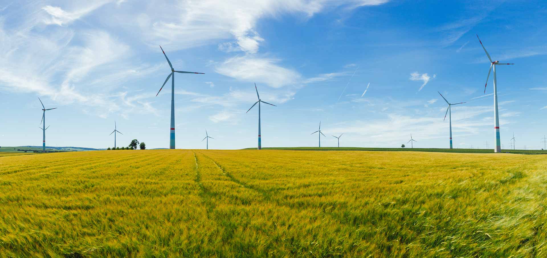 electricité verte, electricite verte, éoliennes, option verte