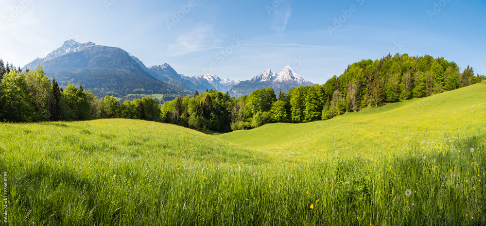 Image illustrative