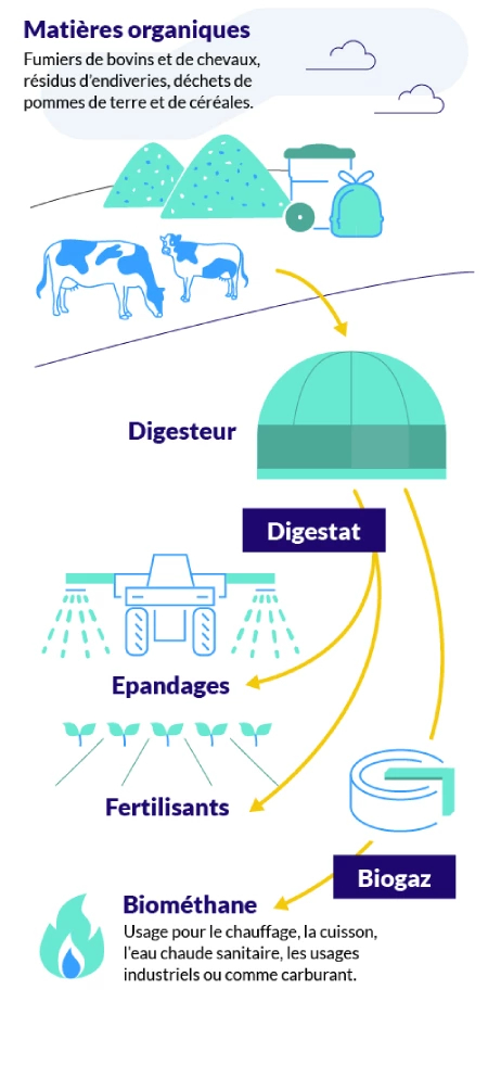 Image illustrative