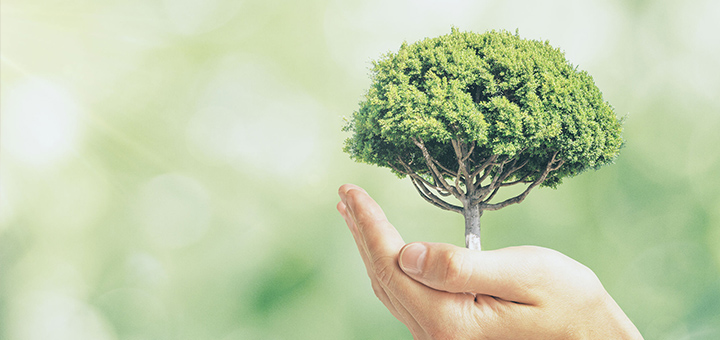 artisan_ecoresponsable