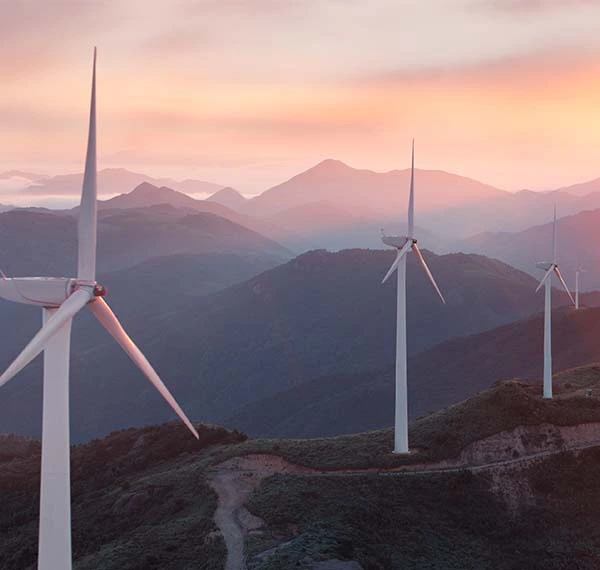 Article Transition Energétique 