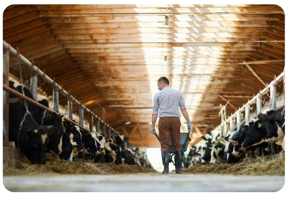illustration_écogeste_agri_mobile