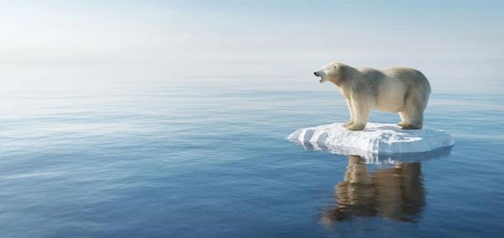 changement climatique