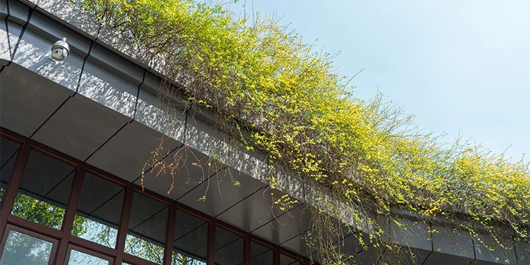 cool_roof_4_1