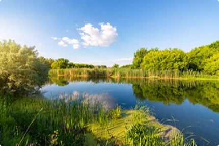 paysage avec un étang